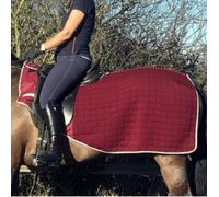 Thermatex Quilted Trainer Rug (Tnr) Burgundy with Grey Trim Size 4'9 -