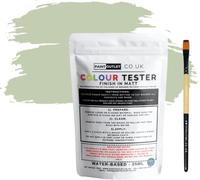 Thermilate Ultra & Pro - Sample Colour Tester Pouch 25ml with Brush - Multi-Surface Paint For Interior Walls, Outdoor Garden & Exterior Walls, High Durability Multi-Feature Sage Green