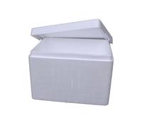 Thermo Insulation Polystyrene Boxes 11 kg / 23 litre 400 x 300 x 280 mm Pack x 6
