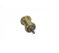 Bosch 1467202302 Thermostat