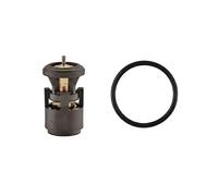 FACET 7.8420 Thermostat