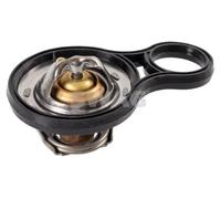 SWAG 11 94 7547 Thermostat