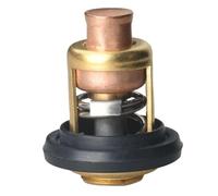 Thermostat 19300 881 761 19300 881 76 0 50℃ 125℉ Compatible With Outboard Motor 4 Stroke BF5 To BF100 50 52C Boat Engine Parts Marine Replacement Part