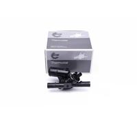 Thermostat 20SKV093 ESEN SKV for OPEL RENAULT NISSAN