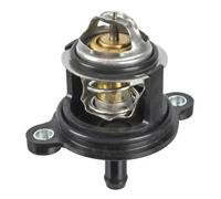 SWAG 33 10 2009 Thermostat