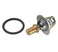WAHLER 3469.91D Thermostat, coolant for RENAULT