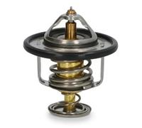 New Thermostat, coolant for CHERY DAEWOO HYUNDAI KIA:J11,TIGGO,EASTAR,H-1 Van