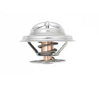 JAPKO 38900 Thermostat