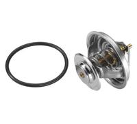 WAHLER 4105.79D Thermostat
