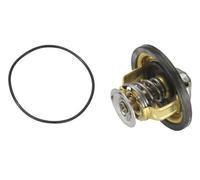 WAHLER 4174.79D Thermostat