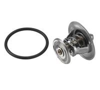 Thermostat 4264.87D BorgWarner (Wahler) for AUDI VW SEAT FORD SKODA MULTICAR