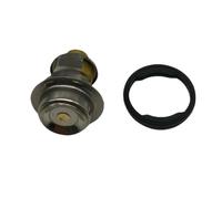 Thermostat 5031762 0769639 Compatible With OMC 40HP 70HP Outboard