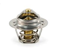 FAE 5205089 Thermostat