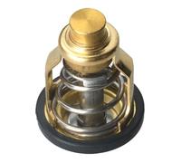 Thermostat 60° 6CE-12411 6CE-12411-00 6CE-12411-00-00 6CE12411 Compatible With Outboard Motor F225 4. 2L V6 Boat Motor Engine Parts
