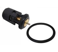3RG 81762 Thermostat