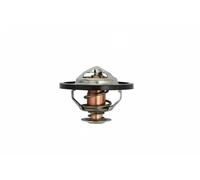 TRISCAN 8620 13591 Thermostat