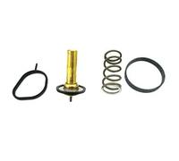 Thermostat, coolant for FORD TRANSIT CONNECT V408 MEAT & DORIA 92877