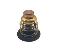 Thermostat Compatible With 4 Stroke F 9 9 15 20 Outboard Motor Replaces 6AH 12411 00 And 19300 ZY3 023