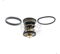 Thermostat, coola MEAT & DORIA 92971 for BMW X7 (G07) 3 2019-2020