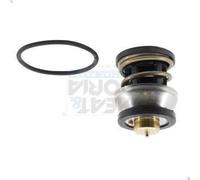 Thermostat, coola MEAT & DORIA 92973 for BMW X7 (G07) 3 2019-2020