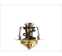 Thermostat, coola THERMOTEC D2DA002TT for DAF 45 5.88 1991-2000