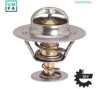 ESEN SKV 20SKV076 Thermostat