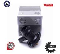 ESEN SKV 20SKV133 Thermostat