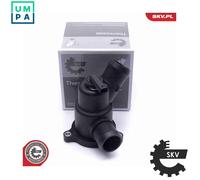 ESEN SKV 20SKV135 Thermostat