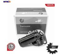 ESEN SKV 20SKV216 Thermostat