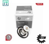 ESEN SKV 20SKV219 Thermostat