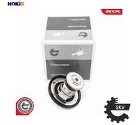 ESEN SKV 20SKV219 Thermostat