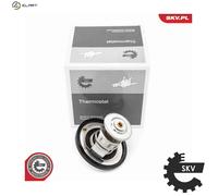 ESEN SKV 20SKV219 Thermostat