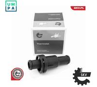 ESEN SKV 20SKV221 Thermostat