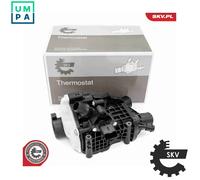 ESEN SKV 20SKV223 Thermostat
