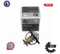 ESEN SKV 20SKV237 Thermostat
