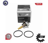 ESEN SKV 20SKV240 Thermostat