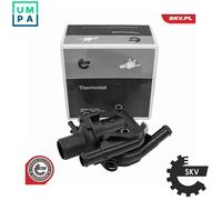 ESEN SKV 20SKV241 Thermostat