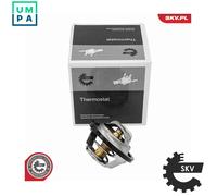 ESEN SKV 20SKV244 Thermostat