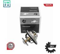 ESEN SKV 20SKV246 Thermostat