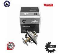 ESEN SKV 20SKV246 Thermostat