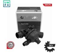ESEN SKV 20SKV250 Thermostat
