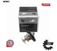 ESEN SKV 20SKV262 Thermostat