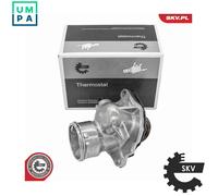 ESEN SKV 20SKV263 Thermostat