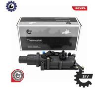 ESEN SKV 20SKV264 Thermostat