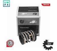 ESEN SKV 20SKV268 Thermostat