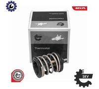 ESEN SKV 20SKV268 Thermostat