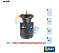 FAE 5320687 Thermostat