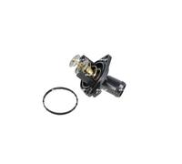 THERMOSTAT, COOLANT 725252