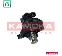 THERMOSTAT COOLANT 7710009 FOR BMW 3/Convertible/E46/Compact/E9/E90/E92/X/E8