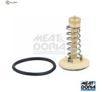 THERMOSTAT COOLANT 92646 FOR VW BAG/BLF/BLP 1.6L 4cyl GOLF V